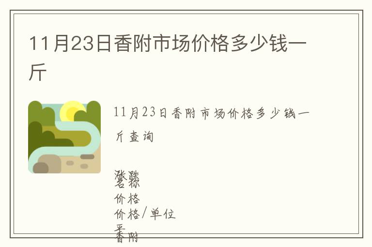 11月23日香附市場價格多少錢一斤