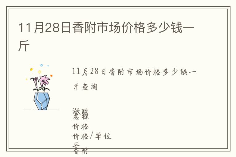 11月28日香附市場價格多少錢一斤