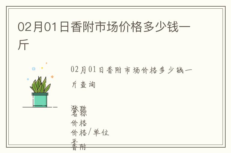 02月01日香附市場價格多少錢一斤