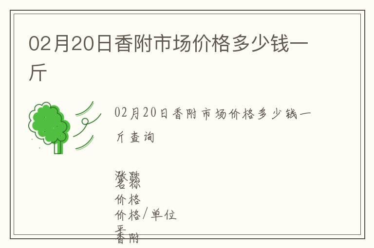 02月20日香附市場價格多少錢一斤