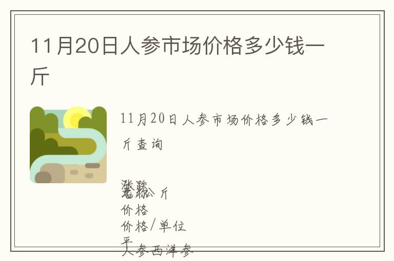 11月20日人參市場價格多少錢一斤