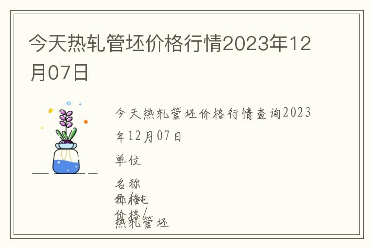 今天熱軋管坯價格行情2023年12月07日