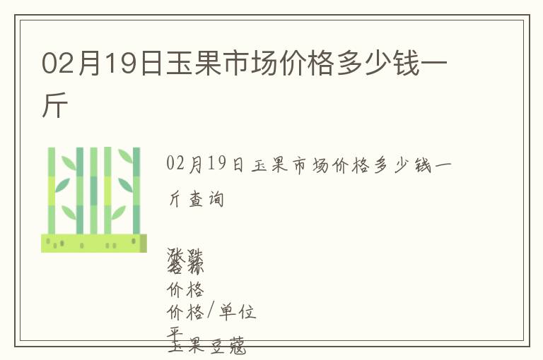 02月19日玉果市場價格多少錢一斤