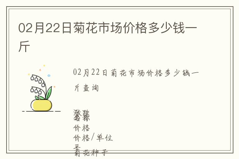 02月22日菊花市場價格多少錢一斤