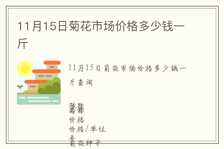 11月15日菊花市場價格多少錢一斤