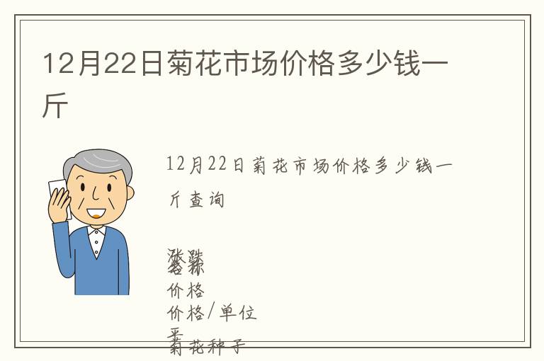 12月22日菊花市場價格多少錢一斤