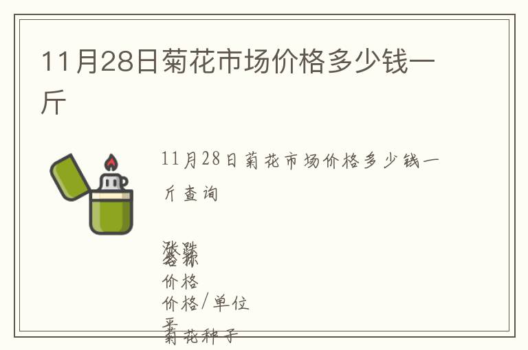 11月28日菊花市場價格多少錢一斤