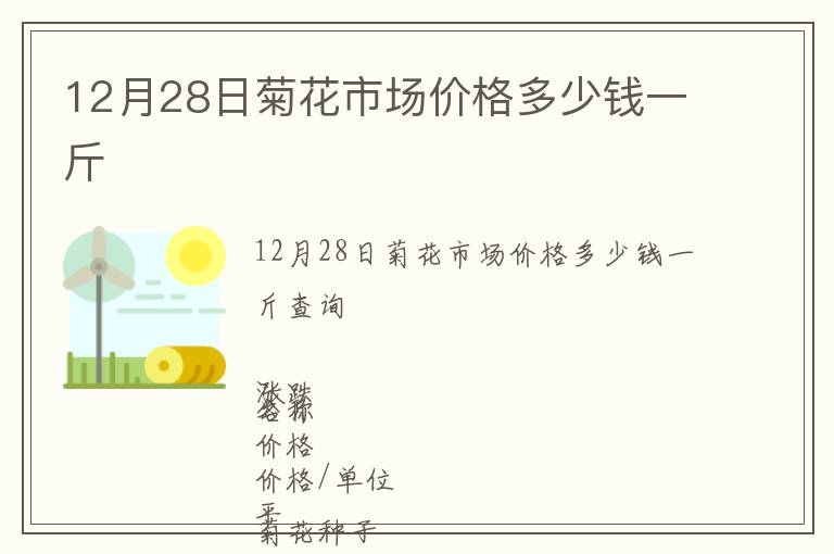 12月28日菊花市場價格多少錢一斤