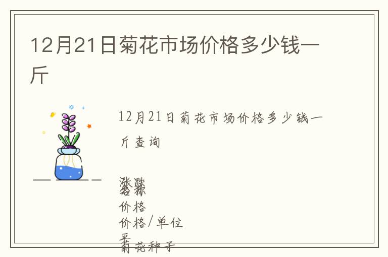 12月21日菊花市場價格多少錢一斤