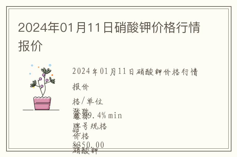 2024年01月11日硝酸鉀價格行情報價