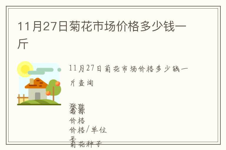 11月27日菊花市場價格多少錢一斤
