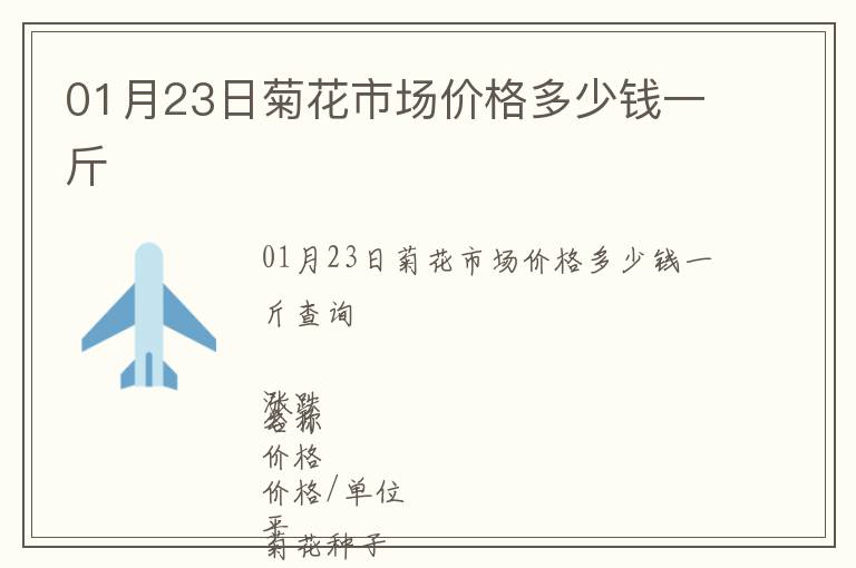 01月23日菊花市場價格多少錢一斤