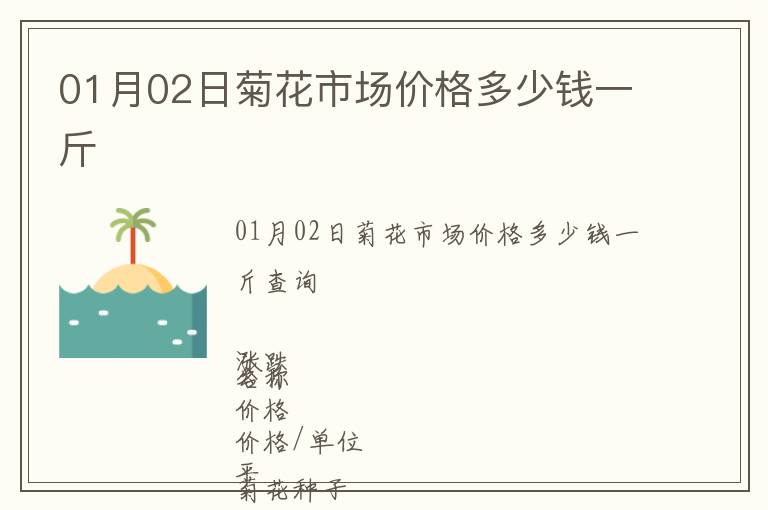 01月02日菊花市場價格多少錢一斤