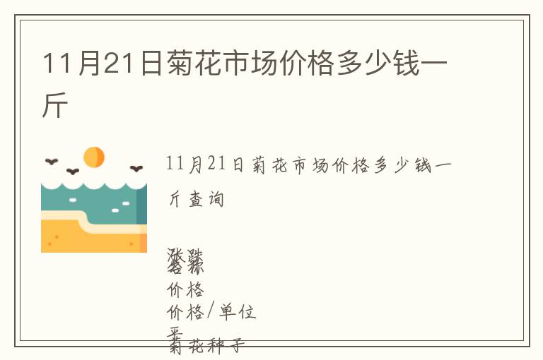 11月21日菊花市場價格多少錢一斤