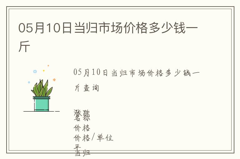 05月10日當歸市場價格多少錢一斤