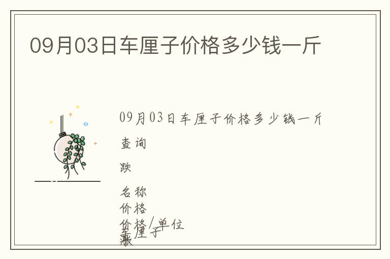 09月03日車厘子價格多少錢一斤