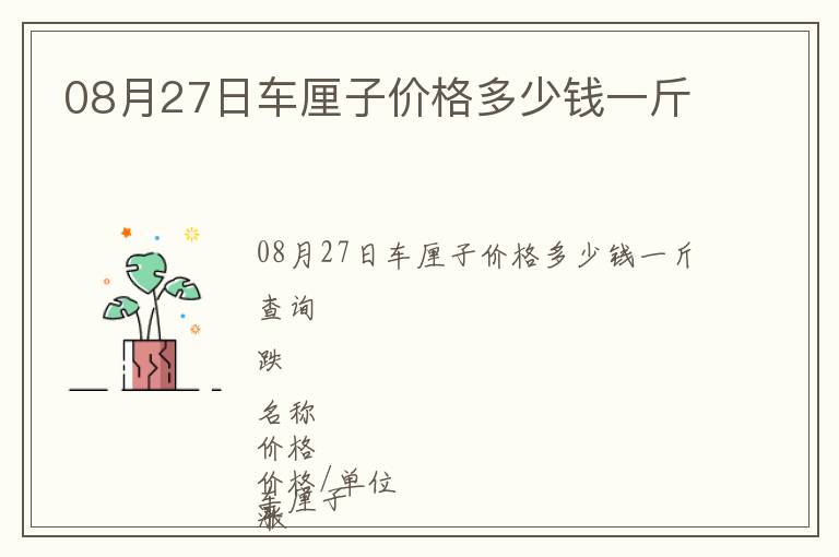 08月27日車厘子價格多少錢一斤